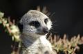 zoo_25 [800x600]
